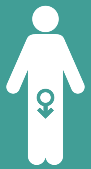 Impuissance masculine et augmentation d'un membre