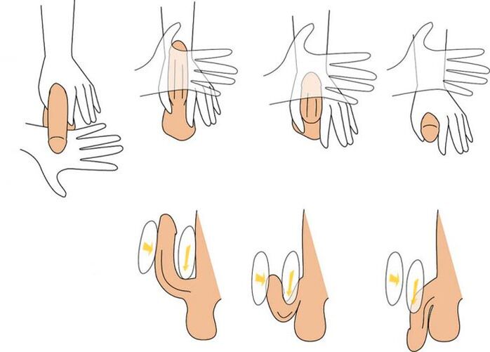 plier le pénis pour l'agrandir